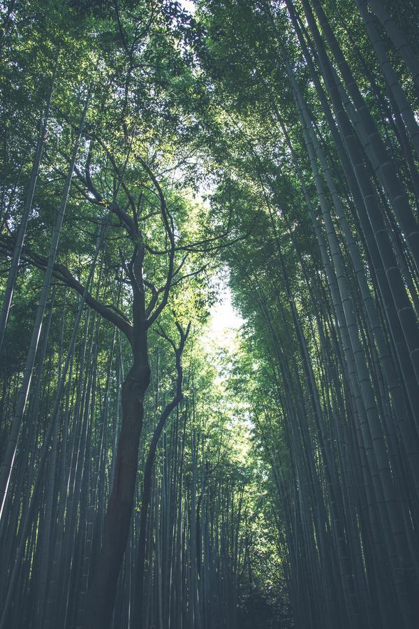 Вілла Shirakabanoyado-Taisho Осака Екстер'єр фото